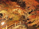 河鹿橋紅葉ライトアップ.jpg