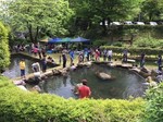 あづま養魚場の釣り堀.jpeg