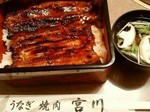 うなぎ.jpg