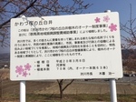 かわず桜の丘.jpg
