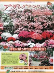 ぐんまフラワーパーク1.jpg