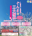 ぐんま三大梅林.jpg