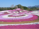 みさと芝桜公園.jpg