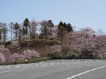 グリーン牧場2.jpg