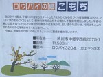 ロウバイの郷こもち1_0000.jpg