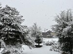 今朝の雪202503191.jpg