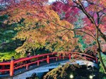 伊香保芸妓さん3.jpg