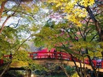 伊香保芸妓さん4.jpg