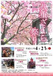 八重桜まつり5.jpg