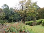園内風景1.jpg