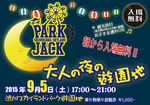 大人の夜の遊園地.jpg