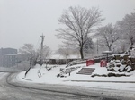 大森周辺の降雪１.jpg