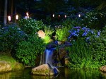 小野池あじさい公園1.jpg