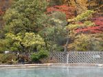 屋上露天風呂からの紅葉.jpg