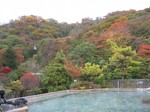 屋上露天風呂からの紅葉1.jpg