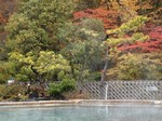 屋上露天風呂からの紅葉2.jpg