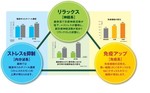森林セラピー.jpg