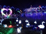 榛名湖イルミネーションフェスタ2.jpg