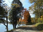 榛名湖周辺の紅葉.jpg