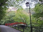 河鹿橋の様子.jpg