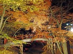 河鹿橋の紅葉.jpg