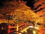 河鹿橋の紅葉1.jpg