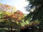 河鹿橋の紅葉2.jpg