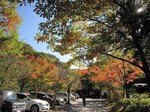 河鹿橋の紅葉2.jpg