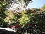 河鹿橋の紅葉2.jpg