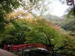河鹿橋の紅葉4.jpg