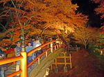 河鹿橋の紅葉6.jpg