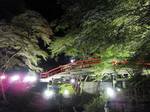 河鹿橋の紅葉8.jpg