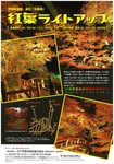 河鹿橋紅葉ライトアップ.jpg