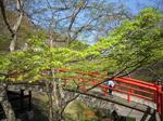 河鹿橋1.jpg