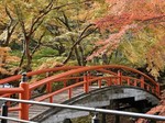 河鹿橋Vol31.jpg