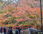河鹿橋Vol33.jpg