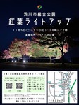渋川市総合公園紅葉ライトアップ.jpg