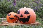 牧場ハロウィーン.jpg