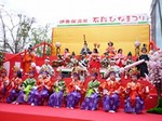 石段ひなまつり.jpg