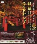 紅葉ライトアップ.jpg