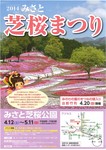 芝桜まつり1.jpg