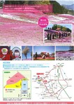 芝桜まつり2.jpg