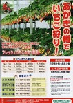 赤城のいちご1.jpg