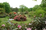 赤城自然園4.jpg