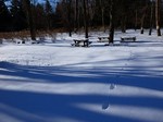 赤城自然園4.jpg