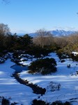 赤城自然園6.jpg