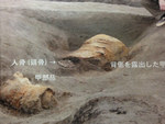 金井東裏遺跡2.jpg