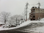 雪20120120.jpg