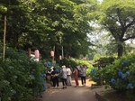 onoike1.jpg